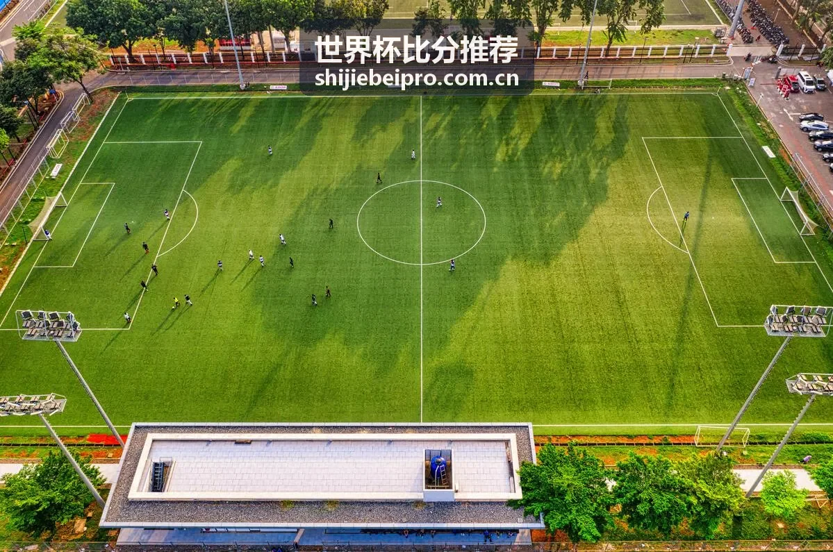 世界杯比分推荐-数据洞察封面